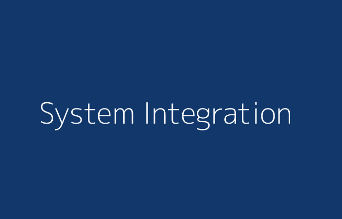System Integration Services