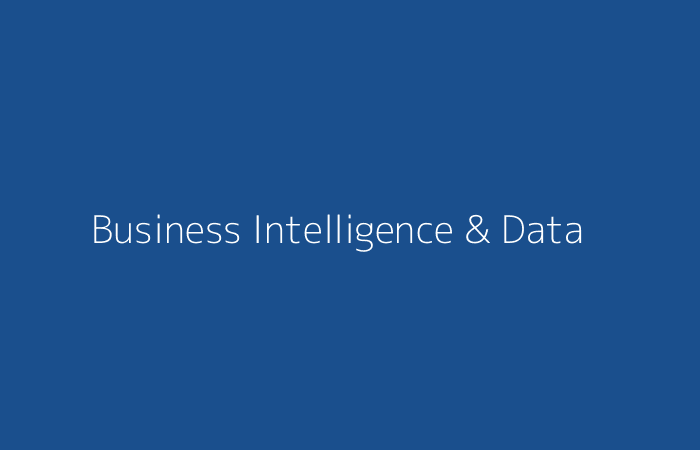 Business Intelligence and Data Solutions