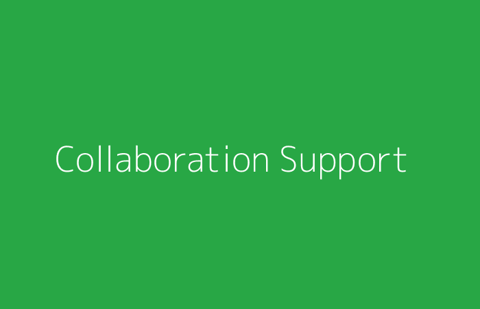 Collaboration & Support Systems Implementation