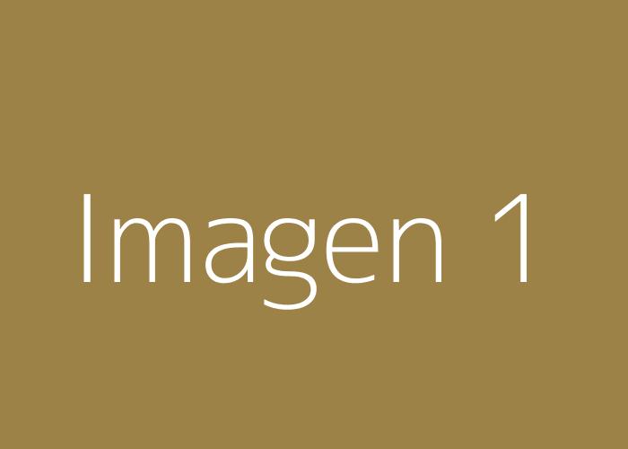 Imagen 1