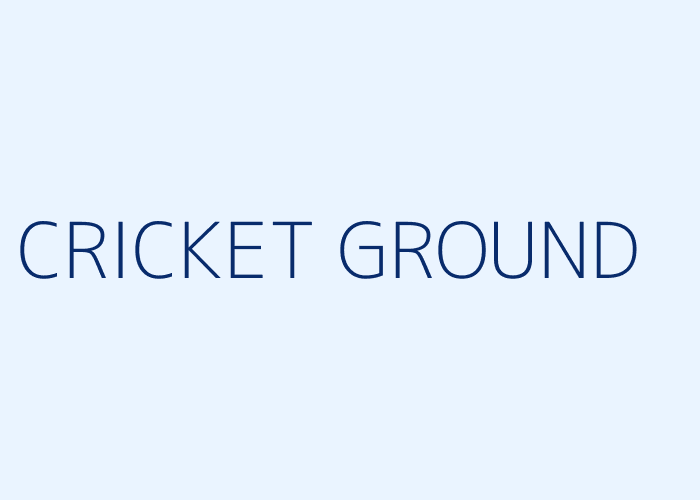 Cricket