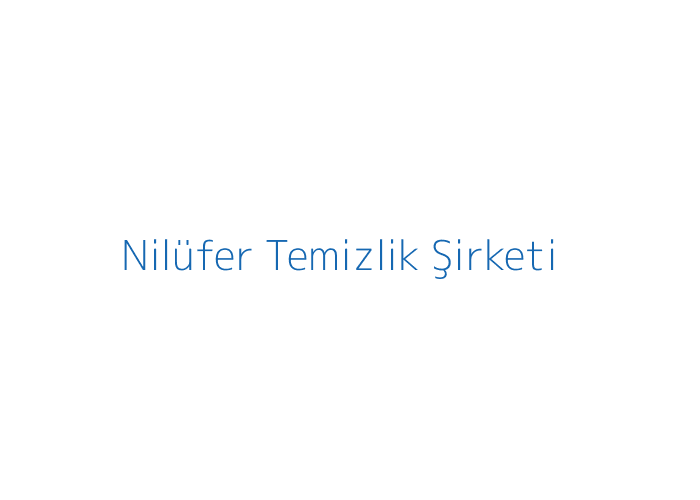 Nilüfer temizlik şirketi ev temizliği görseli
