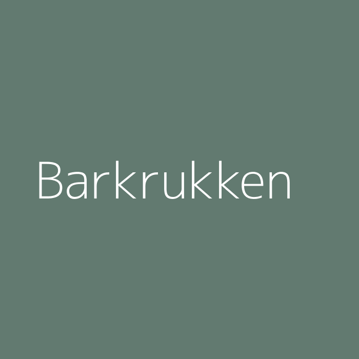 Barkrukken & Barstoelen