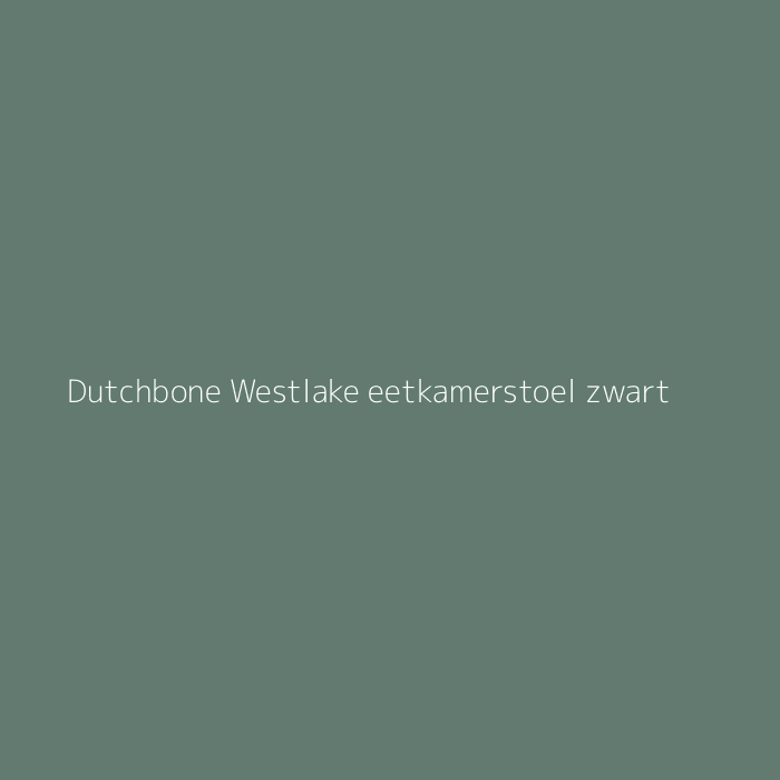 Dutchbone Westlake eetkamerstoel zwart bij HelloChair