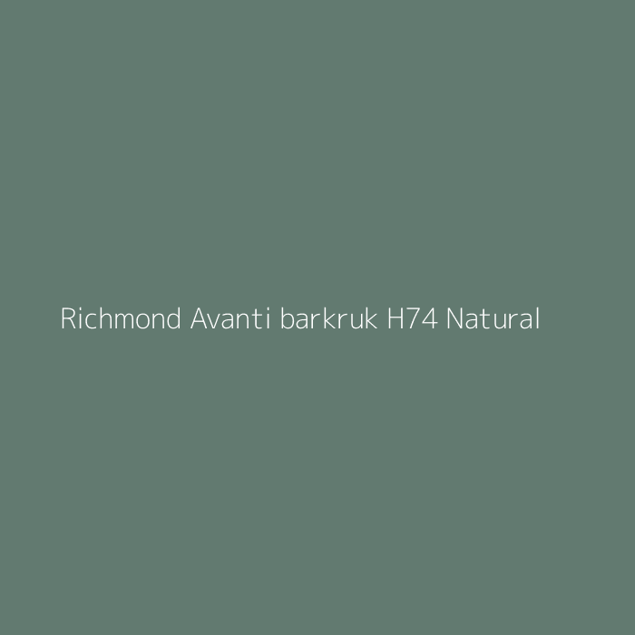 Richmond Avanti barkruk H74 Natural bij HelloChair
