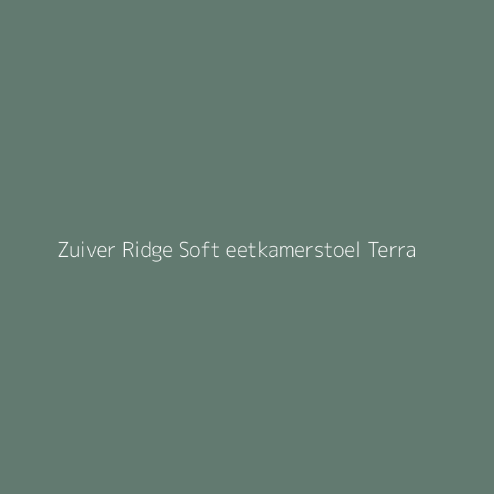 Zuiver Ridge Soft eetkamerstoel Terra bij HelloChair