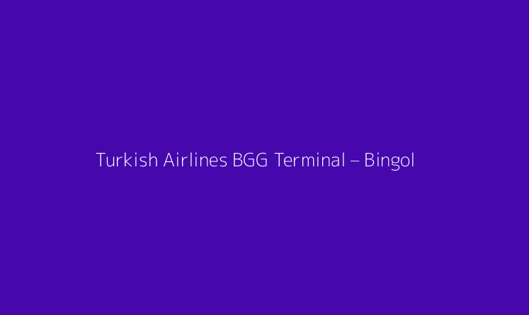 Turkish Airlines BGG Terminal – Bingol Airport