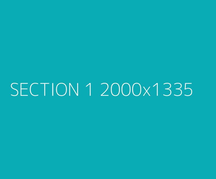 Section 1 alt text