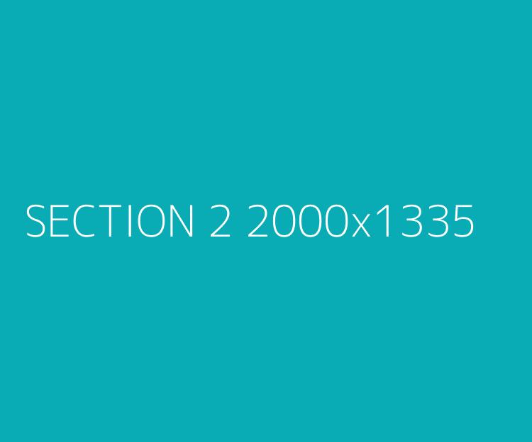 Section 2 alt text