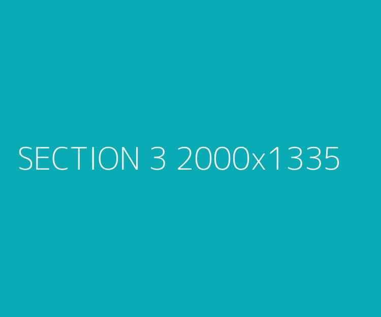 Section 3 alt text