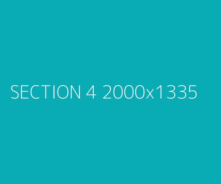 Section 4 alt text