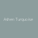Ashen Turquoise