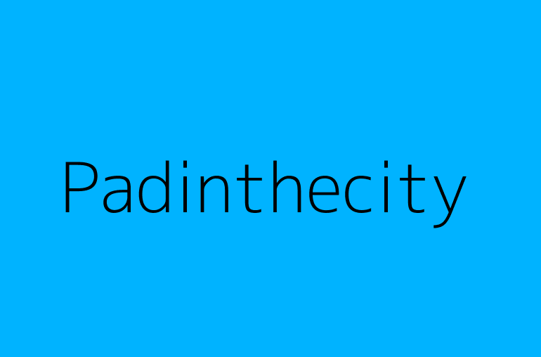 Padinthecity
