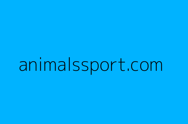 animalssport.com