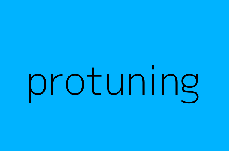 protuning
