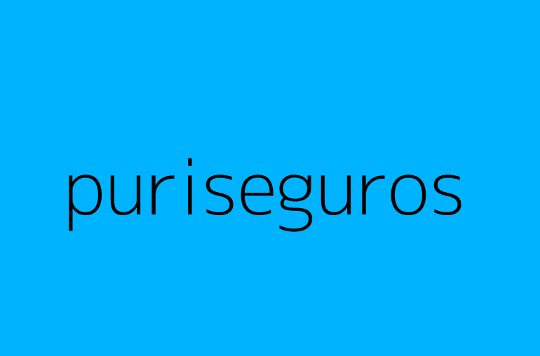 puriseguros