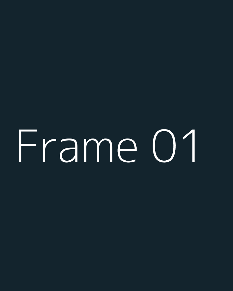 Frame 1