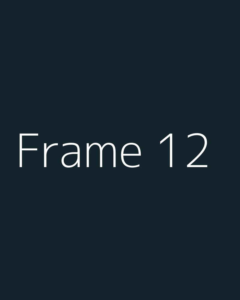 Frame 12