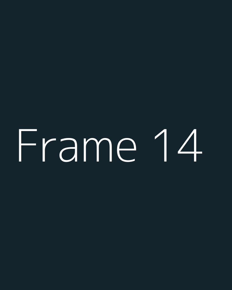 Frame 14