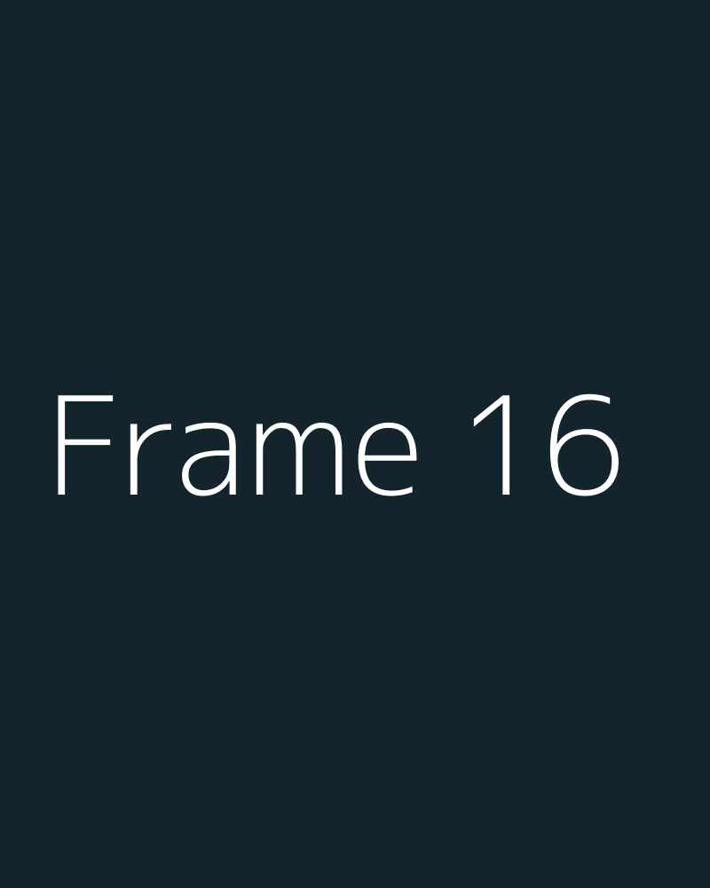 Frame 16