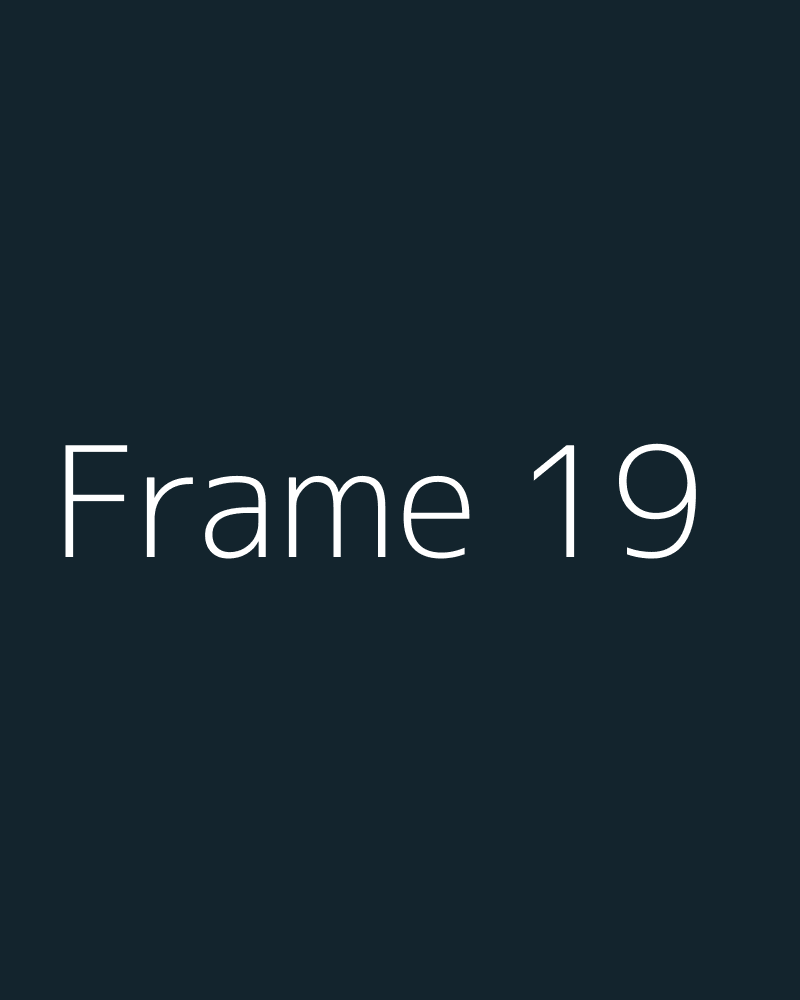 Frame 19