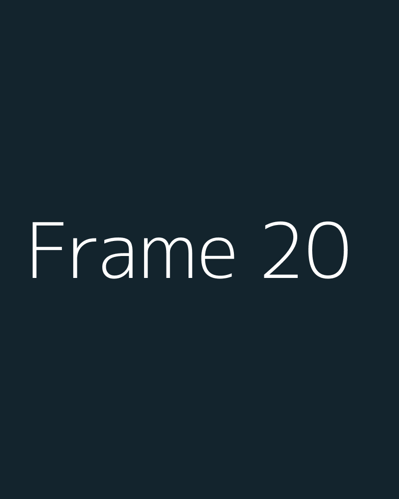 Frame 20