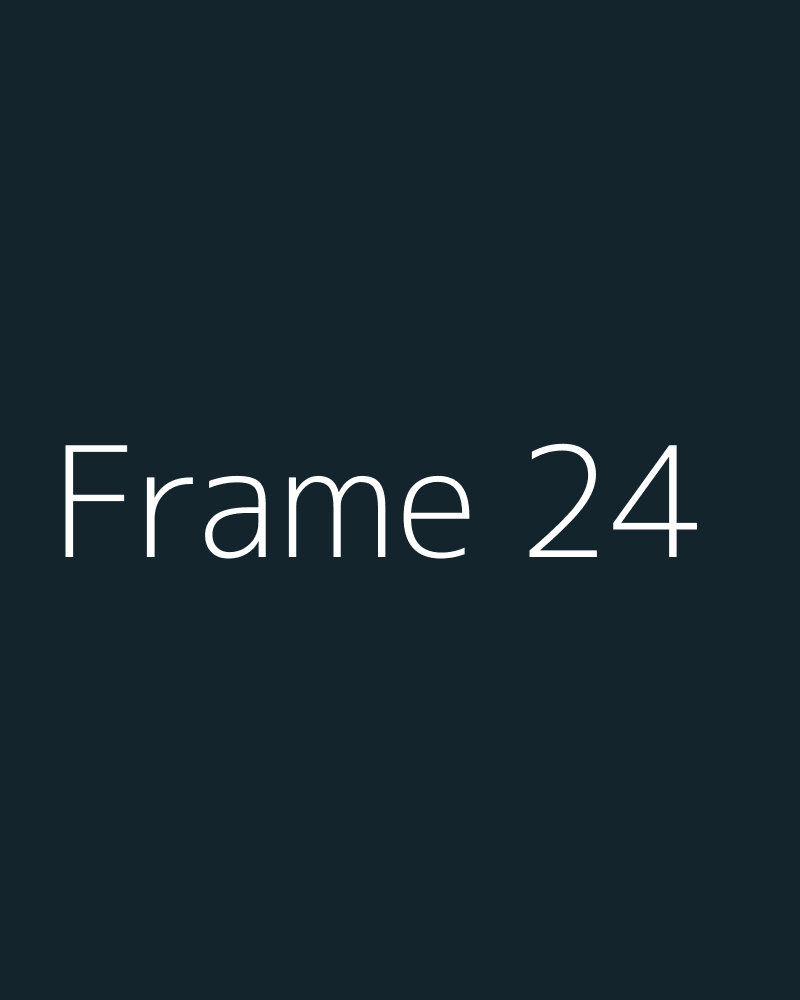Frame 24
