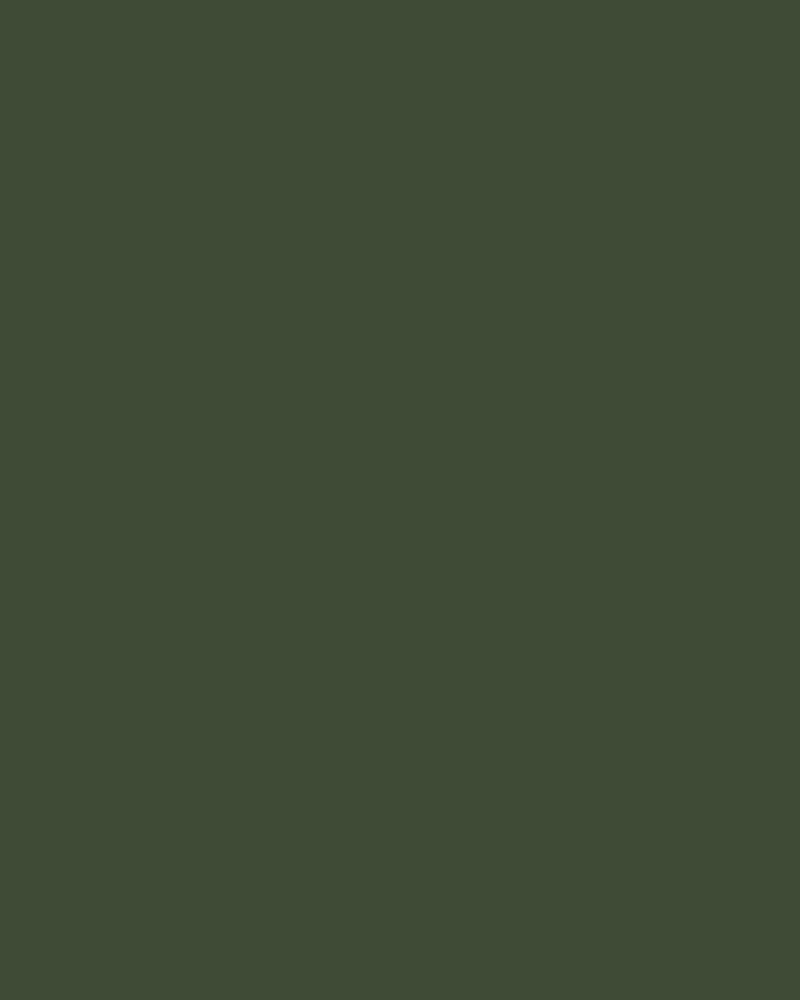 Moss Velvet Swatch