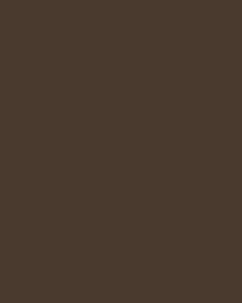 Sable Silk Swatch