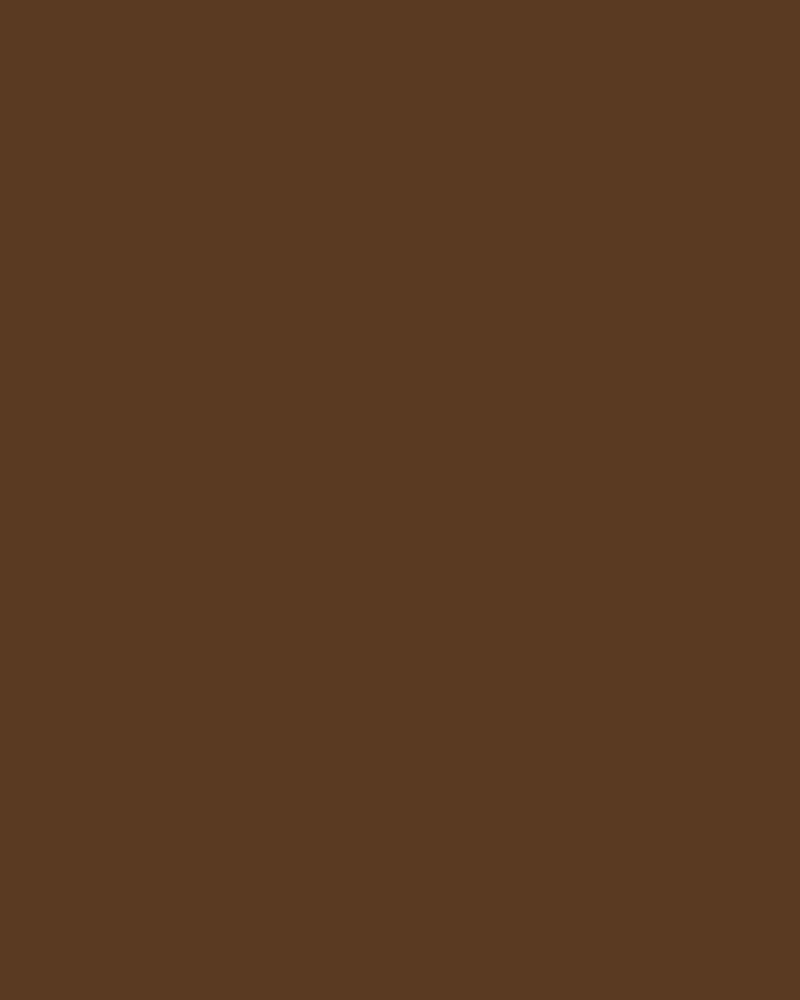 Walnut Swatch