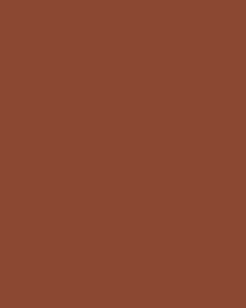 Terracotta Linen Swatch