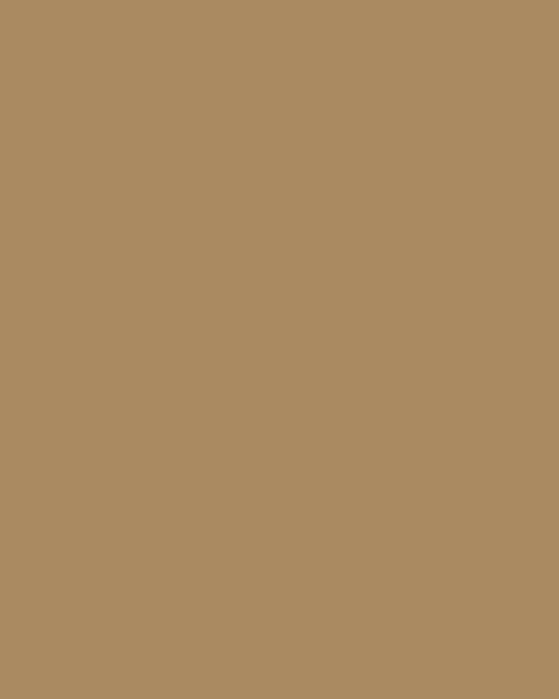 Camel Wool Swatch