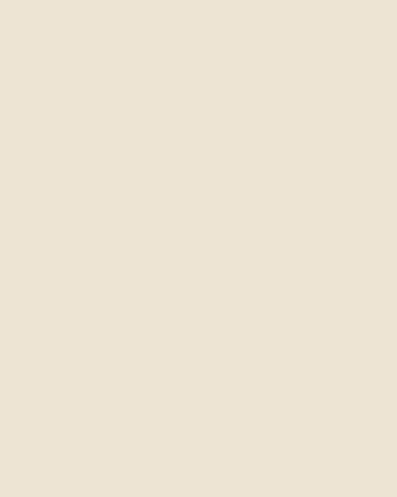 Ivory Boucle Swatch