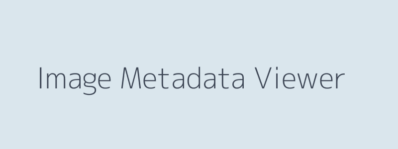 Image Metadata Viewer Interface