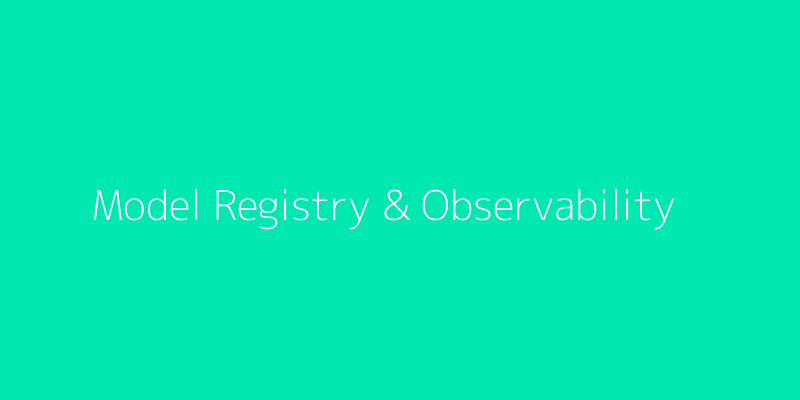 Model Registry & Observability