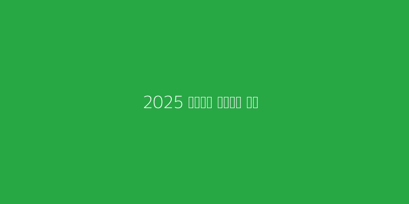 2025 특례보증 개요 이미지