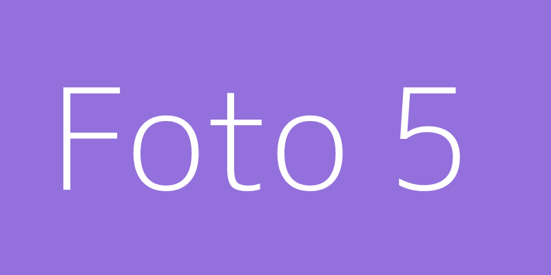 Foto 5