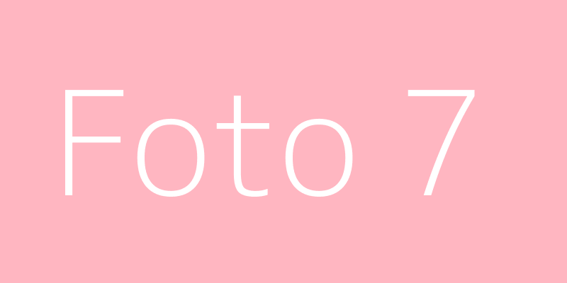 Foto 7