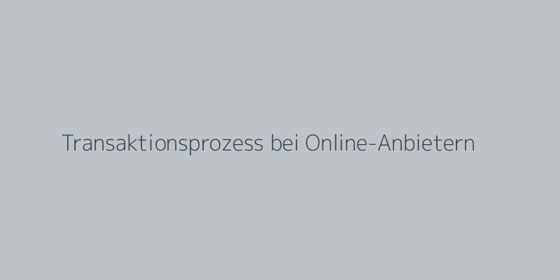 Transaktionsprozess bei Online-Anbietern
