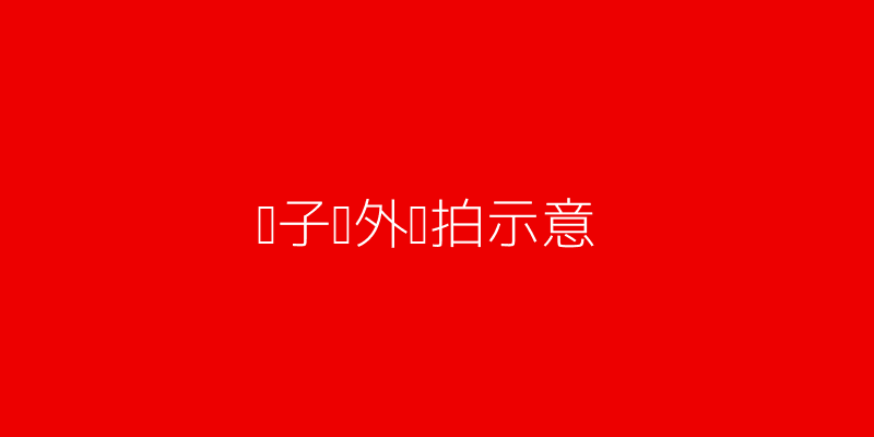 亲子户外活动场景示意