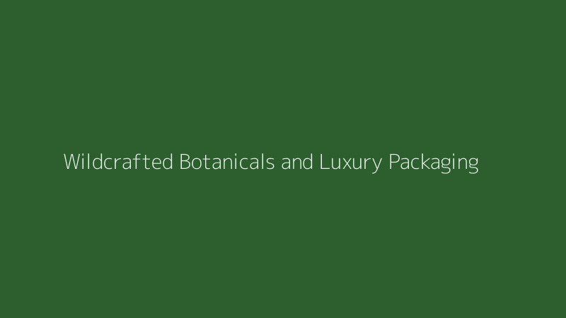 A flatlay of wildcrafted botanicals, raw herbs, and luxury skincare packaging on a stone surface