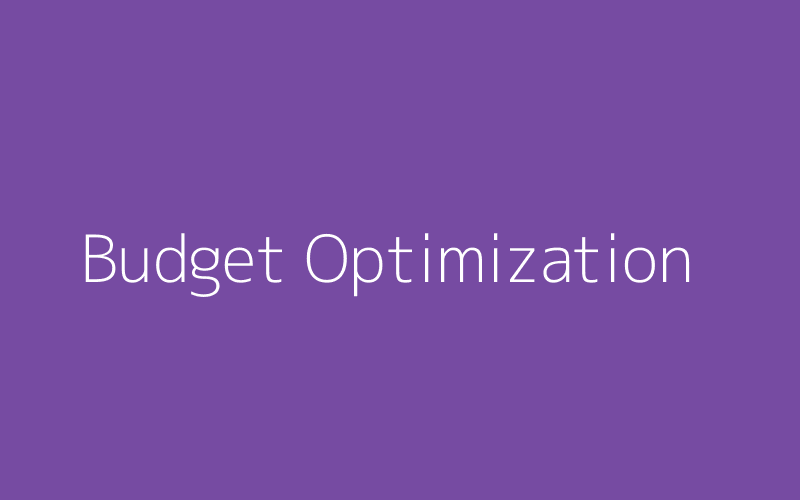 Budget Optimization Analysis