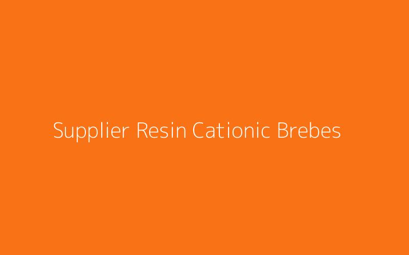 Supplier Resin Cationic Brebes