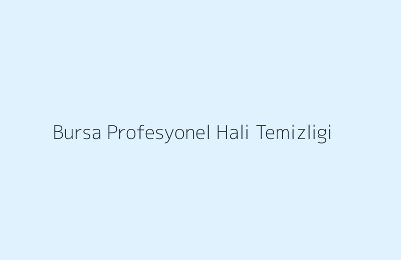 Bursa profesyonel halı temizliği hizmeti görseli