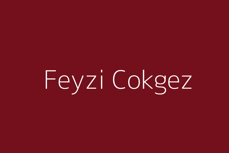 Feyzi Cokgez