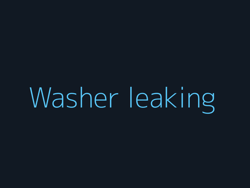 Washer leaking repair
