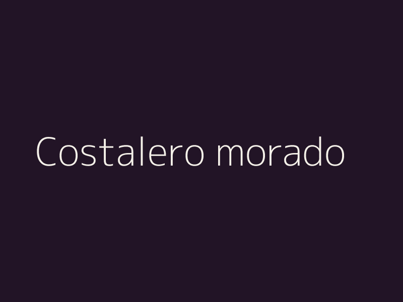 Costalero morado