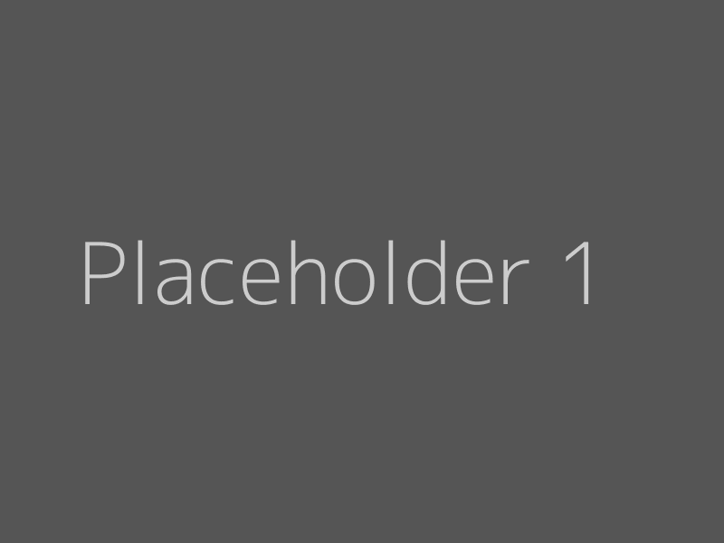Placeholder 1