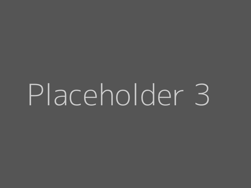 Placeholder 3