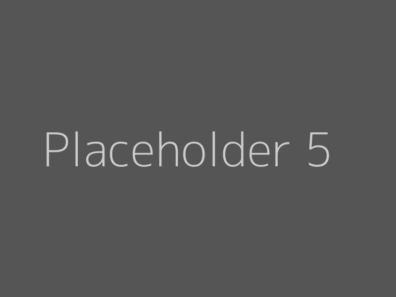 Placeholder 5